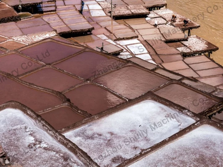 salt field