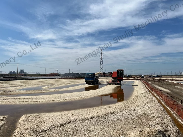 salts field